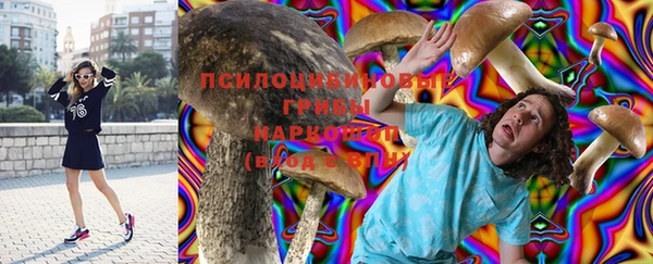 спиды Алзамай
