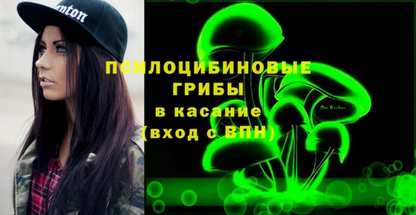 сатива Алексеевка