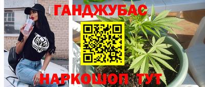 молекула духа Кандалакша