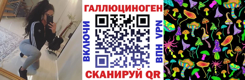 Галлюциногенные грибы GOLDEN TEACHER  сколько стоит  Краснознаменск 