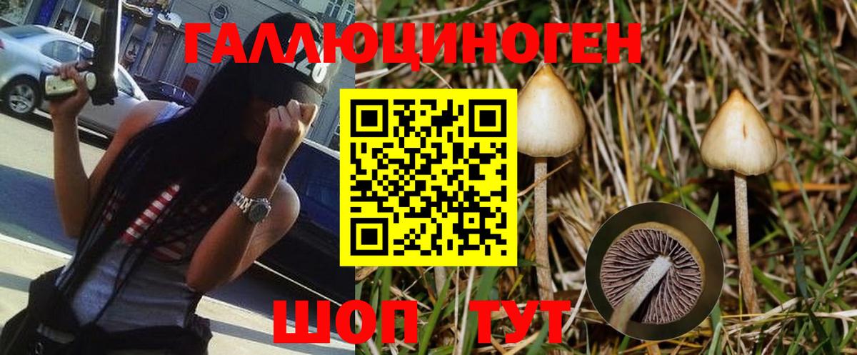 Галлюциногенные грибы Cubensis Краснознаменск