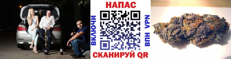 Шишки марихуана конопля  Краснознаменск 